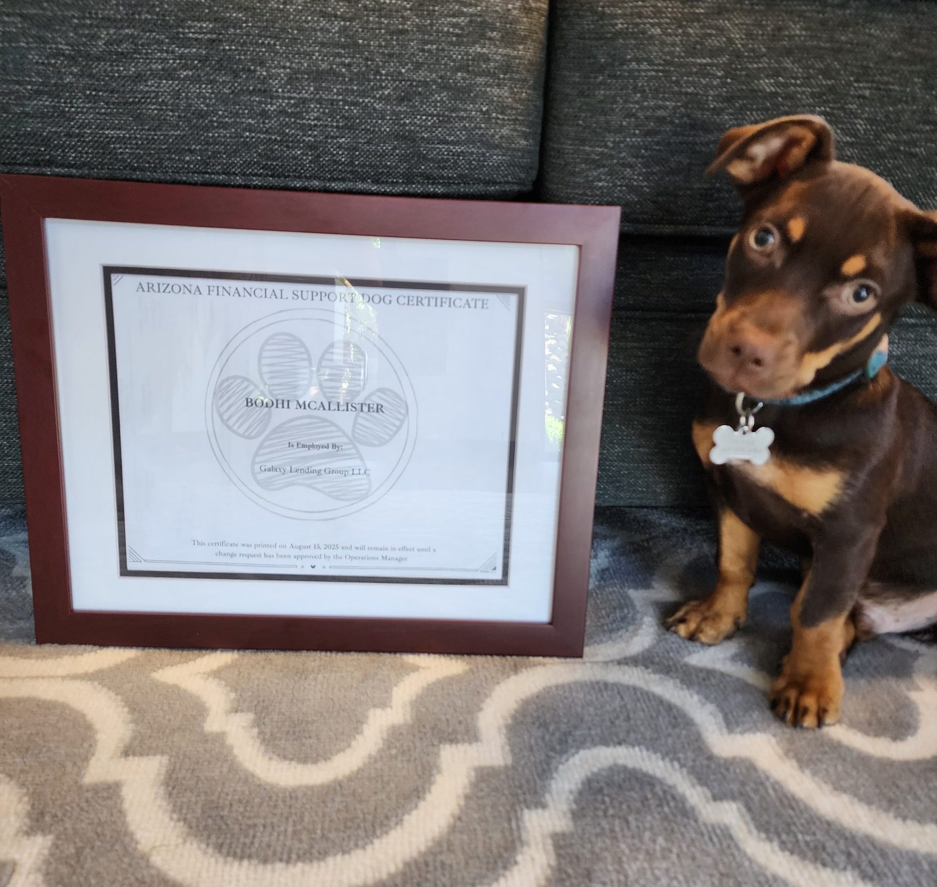Bodhi
